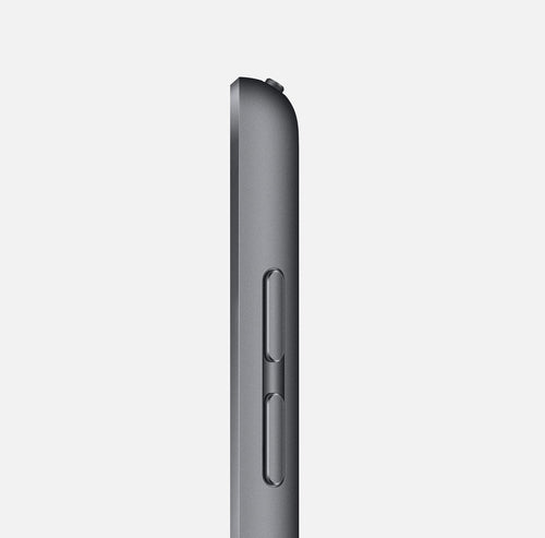 iPad 8th 10.2" (2020) WiFi + Cellular - Ricondizionato